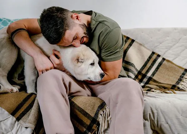 Una nueva ley hará que sea más fácil alquilar cuando tienes perro o gato en el Reino Unido