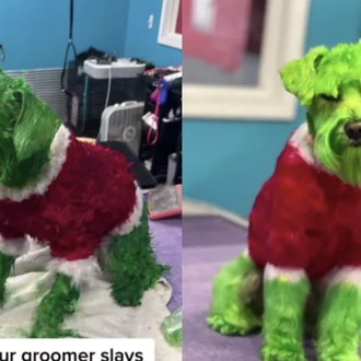 Tiñe a su perro de verde y rojo por Navidad …