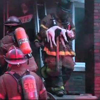 Los bomberos de Detroit salvan a dos perros: impactantes imágenes …