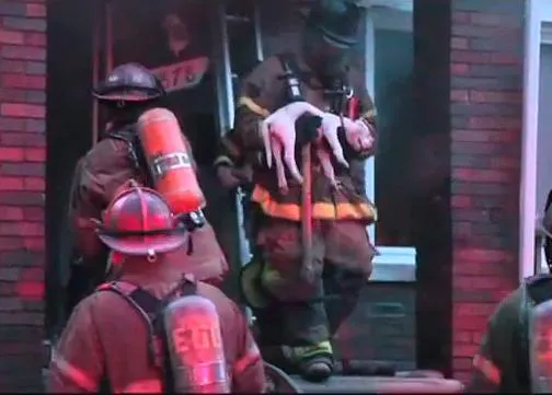 Los bomberos de Detroit salvan a dos perros: impactantes imágenes de 