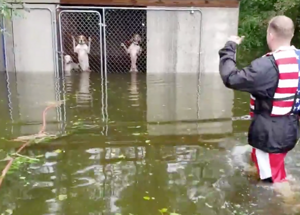 Emocionantes rescates de perros a punto de ahogarse tras el paso del Huracán Florence