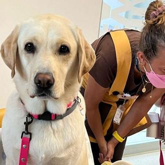 Terapia Asistida con Animales: una herramienta valiosa, pero solo en …