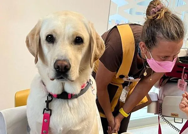 Terapia Asistida con Animales: una herramienta valiosa, pero solo en manos profesionales