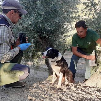La Unidad Canina de la Junta de Andalucía logra reducir …