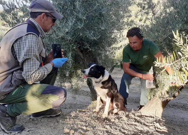La Unidad Canina de la Junta de Andalucía logra reducir en un 70% los envenenamientos en el medio natural