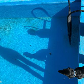 Planes solidarios para perri-nutrias: Chapuzón Perruno en Rivas y ¡Al …