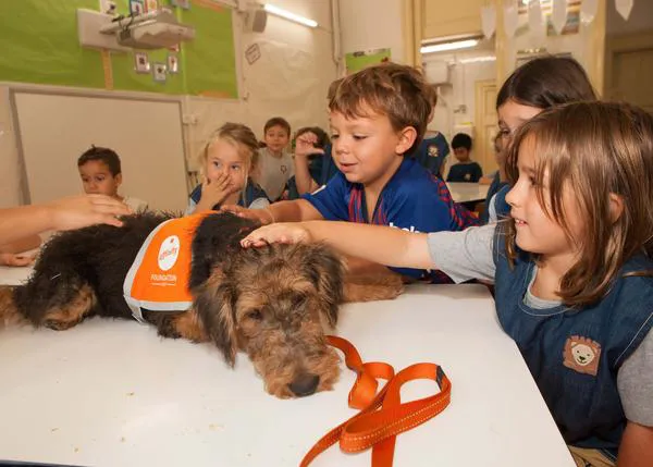 La vuelta al cole más feliz y más guau en Barcelona: los perros de terapia ayudan a los niños en su primer día de clase
