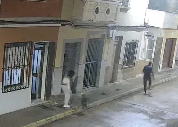 Una cámara de seguridad de Polinyà del Xúquer capta como los perros de una mujer espantan al tipo que intentaba secuestrarla