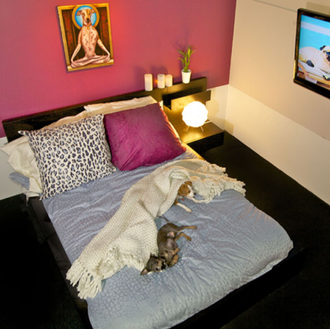 Lujos humanos vs lujos perrunos y los alojamientos caninos que …