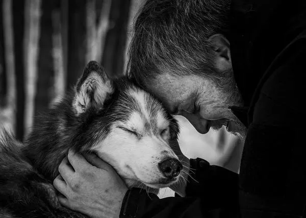 La fotógrafa especializada en despedidas y los profesionales en España que retratan a perros del alma en sus últimos días