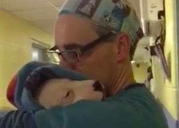 Un veterinario acuna a una cachorra que llora tras ser operada (y le roba el corazón a medio mundo)