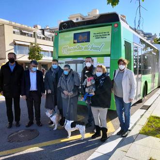 Los perros suben al autobús en Palma de Mallorca, ¡en …