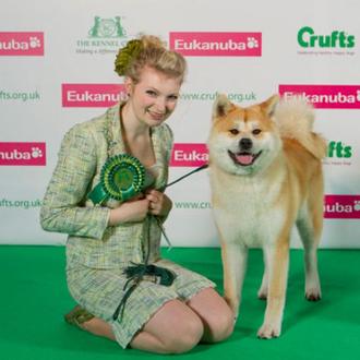 Parecidos razonables en Crufts 2012