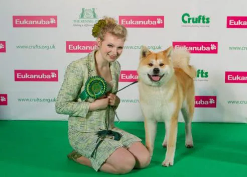 Parecidos razonables en Crufts 2012