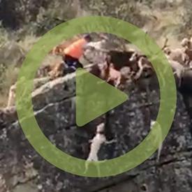 Crece la indignación ante la dramática y brutal escena de …