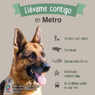 135.000 canes han viajado en Metro en Madrid en …
