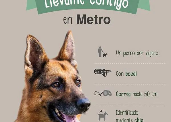 135.000 canes han viajado en Metro en Madrid en un año