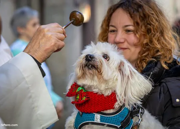 San Antón 2026 en Madrid: programa oficial de la fiesta de los animales, este año dedicada a la ONCE