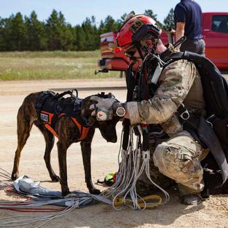 (Merecido) homenaje a todos los perros de búsqueda y rescate …