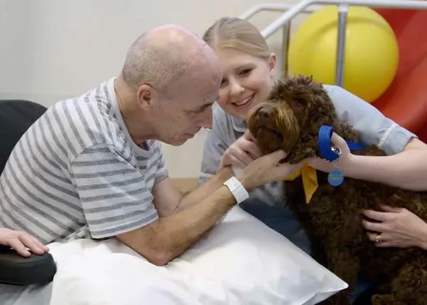 Un perro rescatado de una granja de cachorros aporta ahora felicidad y calma a los enfermos de un hospital