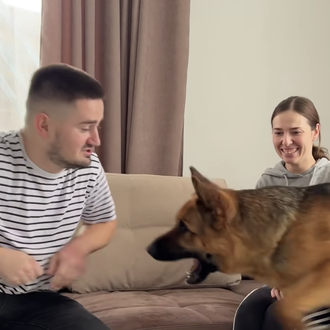 ¿Por qué es gracioso hacerle creer a un perro que …