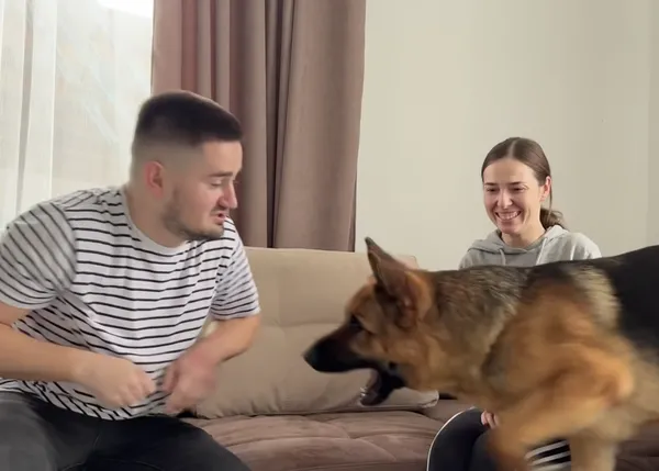 ¿Por qué es gracioso hacerle creer a un perro que estás pegando a alguien que quiere?