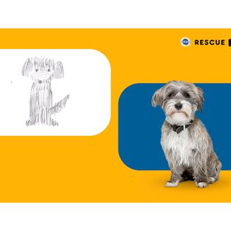 Los garabatos infantiles convertidos en perros potencialmente adoptables
