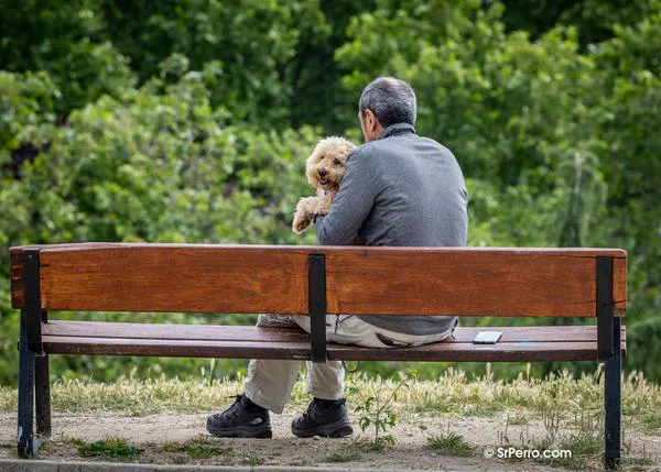 Las obligaciones de cuidar de perros o gatos son una vía para el autocuidado de las personas al disfrutar juntos de tiempo de calidad