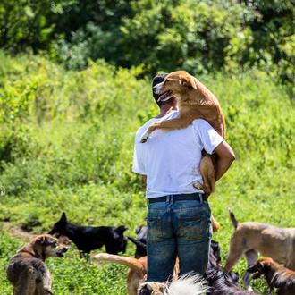 Problemas en el paraíso perruno: Territorio de Zaguates 