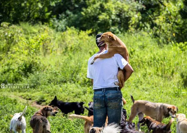 Problemas en el paraíso perruno: Territorio de Zaguates 