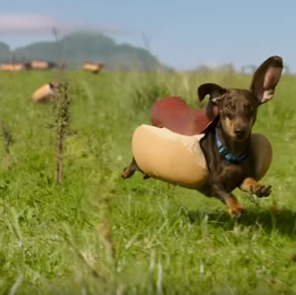 Los anuncios más animales de la Super Bowl 2016: orejas …
