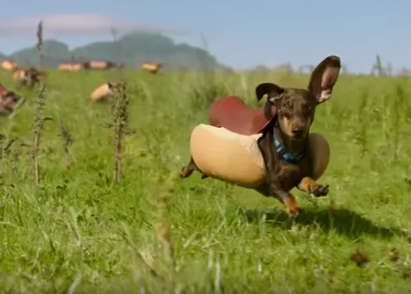 Los anuncios más animales de la Super Bowl 2016: orejas al viento y ovejas cantantes