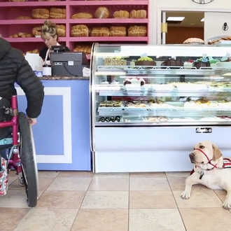Lecciones de vida con un perro de asistencia: una mujer …