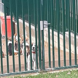 Concentración en Barcelona para pedir que la UAB deje de …