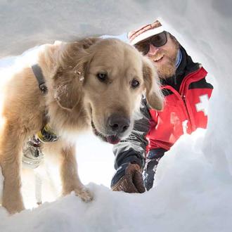 ¿Cómo trabajan los perros de rescate en la nieve? 