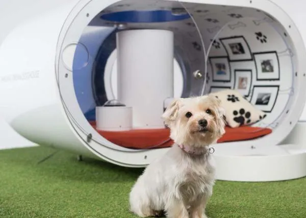 La casa perruna del futuro, según Samsung, con piscina y chill out 