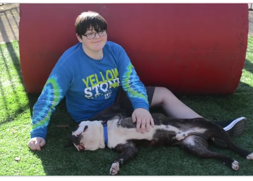 Una adopción especial: el perro de tres patas y su nuevo amigo, un niño con una pierna 