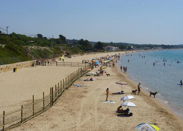Críticas al Ayuntamiento de Tarragona por el espacio dedicado a los perros en la Platja Llarga