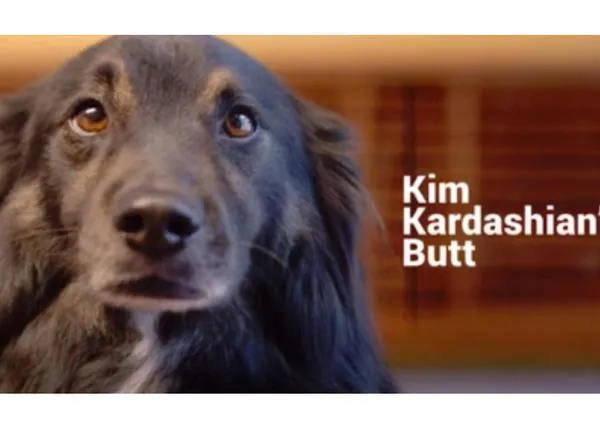 El culo de Kim Kardashian y otras estrategias originales para fomentar las adopciones