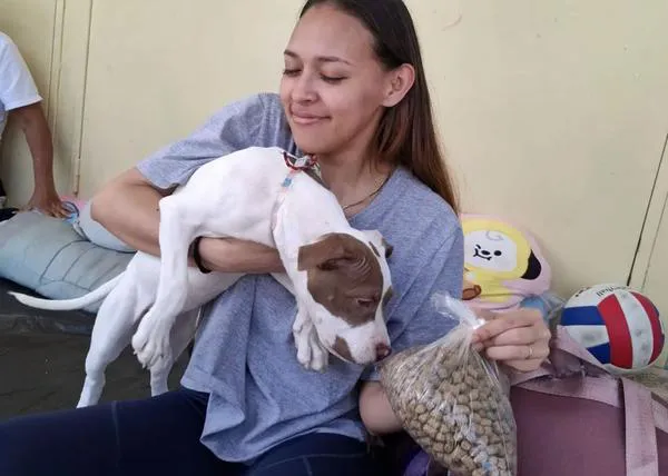 Tras los terremotos en Venezuela, Misión Nevado ha rescatado a cerca de 600 animales, sobre todo perros y gatos