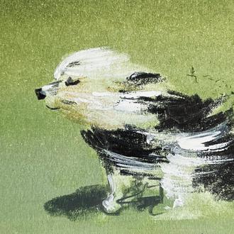 Los bellos, refrescantes y felices perros de Jenny Bloomfield