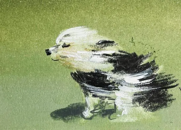 Los bellos, refrescantes y felices perros de Jenny Bloomfield