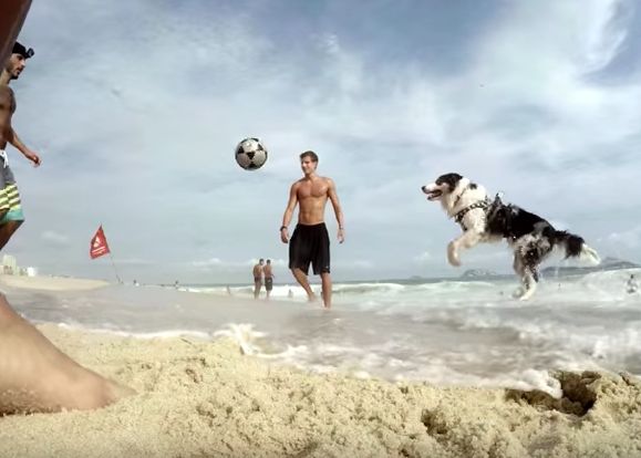 Scotch, el perro futbolista más cool de Ipanema ¡qué ganas de ir a la playa con el can!