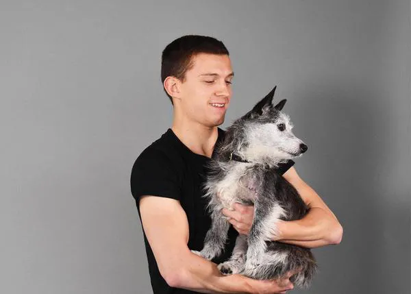 El muy perruno actor Tom Holland posa junto a guapos canes en adopción