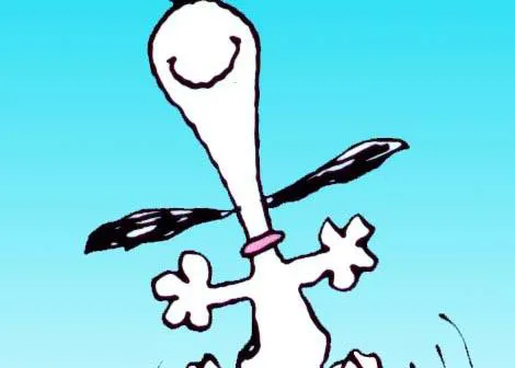 El baile de la felicidad, versión perruna