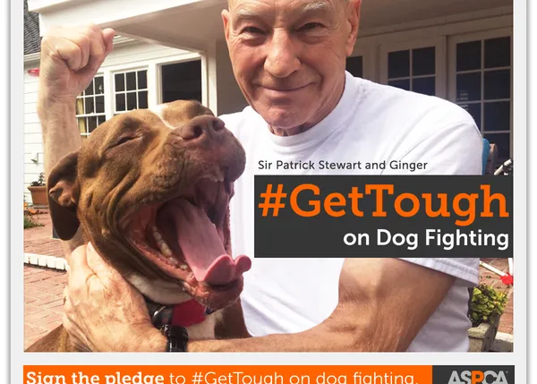 El 8 de abril es del día contra las peleas de perros en EEUU y Sir Patrick Stewart es su nuevo 