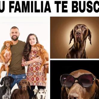 3 años después y a cientos de km de distancia …