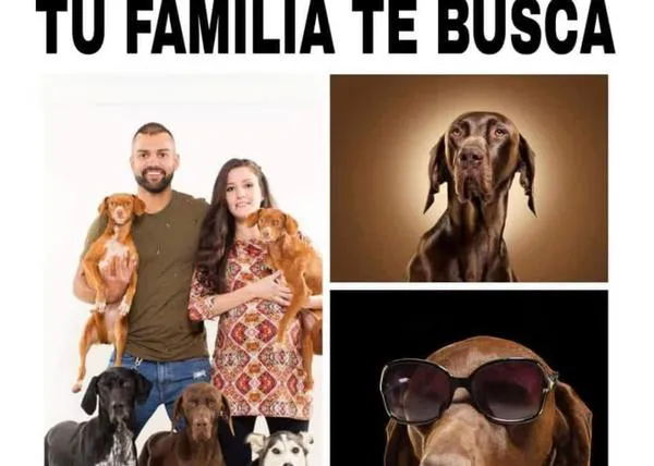 3 años después y a cientos de km de distancia: encuentran a Txoco, un perro robado en 2022, ¡¡por fin está de vuelta con su familia!!