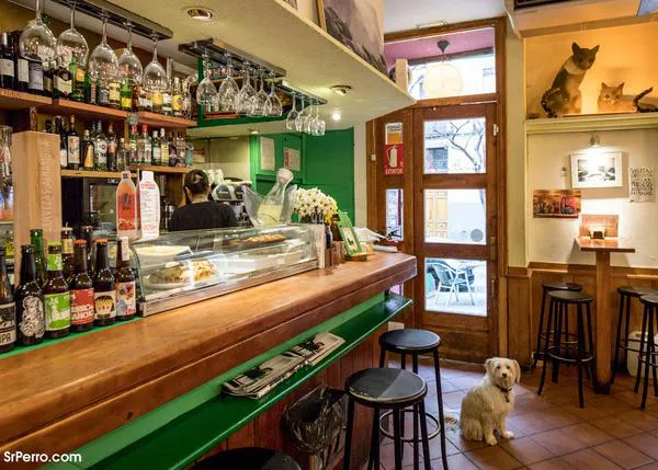Día mundial de la tapa en Lavapiés, los 5 mejores locales donde celebrarlo junto a tu perro