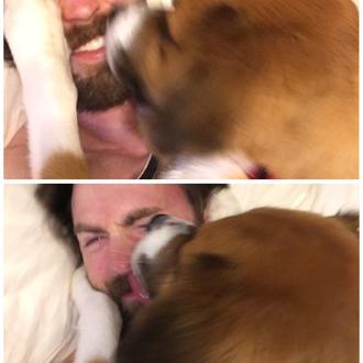 Los amores perros de Chris Evans: así ha sido la …